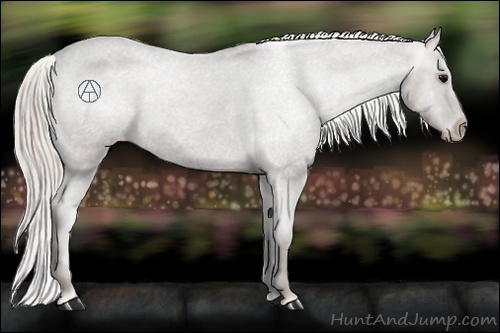 Horse Color:Silver Black Varnish 