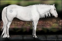 Horse Color:Silver Black Varnish
