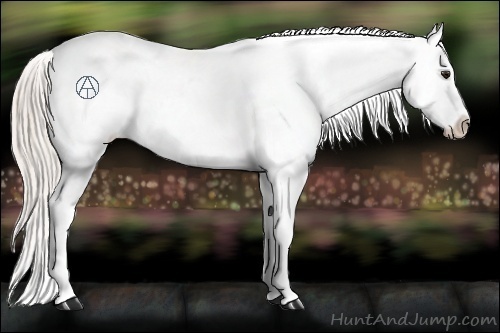 Horse Color:Silver Bay Varnish