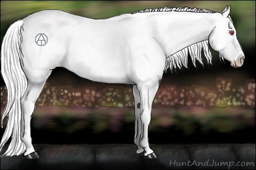 Horse Color:Silver Black Chinchilla Appaloosa