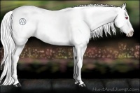 Horse Color:Silver Black Chinchilla Varnish 