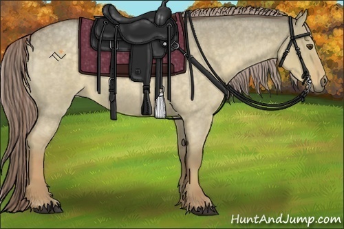 Horse Color:Chocolate Palomino Roan Dun