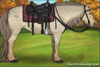 Horse Color:Chocolate Palomino Roan Dun 