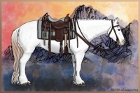 Horse Color:Buckskin Roan Appaloosa