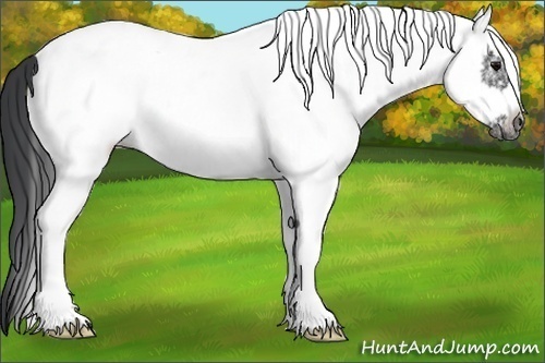 Horse Color:White Spotted Black Ice Frame 