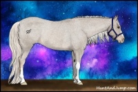 Horse Color:Chocolate Palomino Roan Varnish Rabicano 