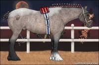 Horse Color:Buckskin Roan Varnish Rabicano 