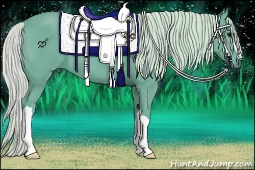 Horse Color:Watercolor Silver Black 