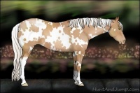 Horse Color:White Spotted Silver Bay Pearl