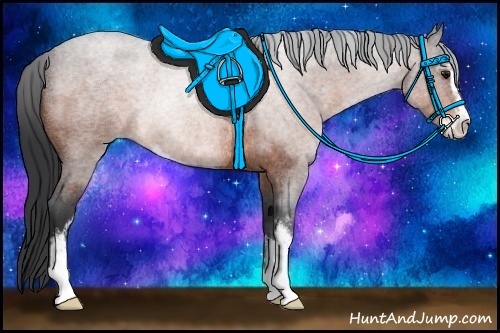 Horse Color:Bay Roan Sabino Rabicano