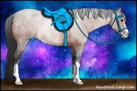 Horse Color:Bay Roan Sabino Rabicano