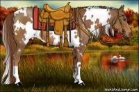 Horse Color:White Spotted Chestnut