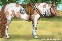 Horse Color:White Spotted Bay Pearl
