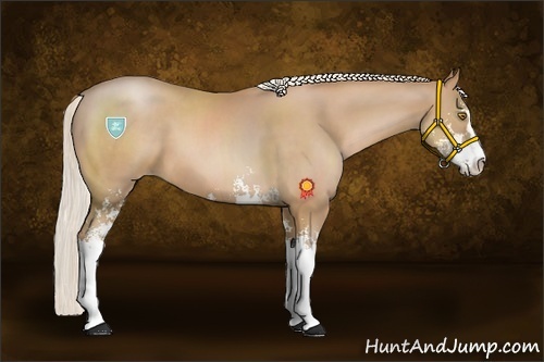 Horse Color:Silver Brown Pearl Sabino 