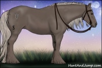 Horse Color:Silver Black 