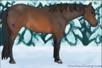 Horse Color:Brown 