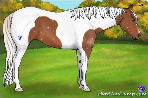 Horse Color:Silver Bay Tobiano