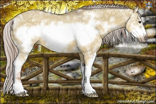 Horse Color:Chocolate Palomino Ice Dun Sabino Frame