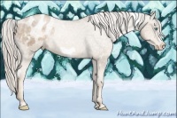 Horse Color:White Spotted Chocolate Palomino Ice Pearl Frame Appaloosa