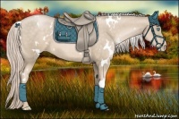 Horse Color:White Spotted Chocolate Palomino Pearl 