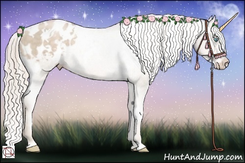 Horse Color:White Spotted Chocolate Palomino Pearl Appaloosa