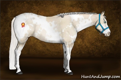 Horse Color:White Spotted Silver Smoky Black Pearl Sabino Rabicano 