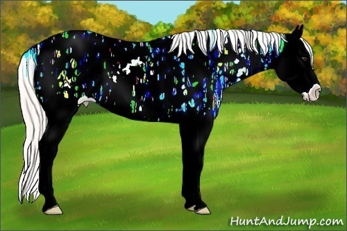Horse Color:Silver Bay Ice Roan Dun Sabino Splash Near Leopard 