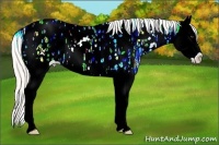 Horse Color:Silver Bay Ice Roan Dun Sabino Splash Appaloosa