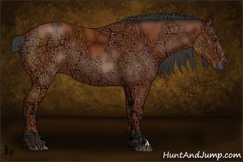 Horse Color:Bay Ice 