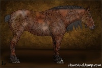 Horse Color:Bay Ice 