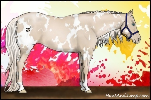 Horse Color:White Spotted Palomino Pearl 