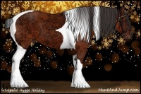 Horse Color:Bay Ice Tobiano