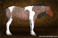 Horse Color:Bay Ice Roan Tobiano