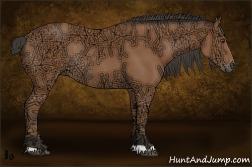 Horse Color:Buckskin Ice Rabicano 