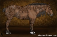 Horse Color:Buckskin Ice Rabicano 