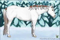 Horse Color:White Spotted Red Dun Appaloosa 