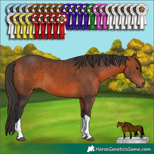 Horse Color:Bay Tobiano 