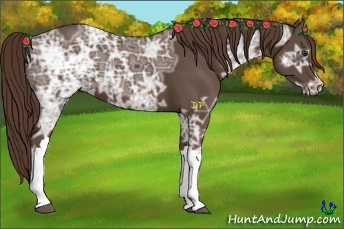 Horse Color:Liver Chestnut Ice 
