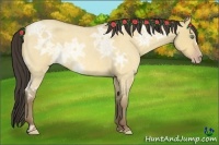 Horse Color:Amber Cream Champagne Ice Roan Dun