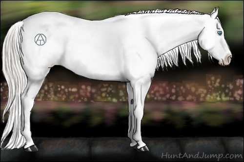 Horse Color:Chocolate Palomino Roan Pearl Snowflake Varnish