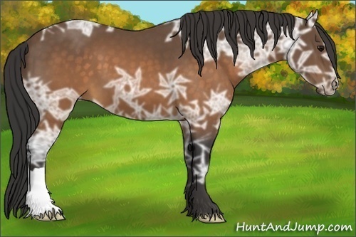 Horse Color:Buckskin Ice 