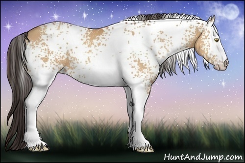 Horse Color:White Spotted Amber Champagne 