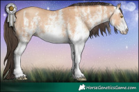Horse Color:White Spotted Amber Champagne 