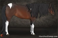Horse Color:Bay Tobiano 