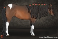 Horse Color:Buckskin Tobiano