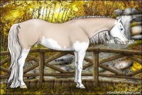 Horse Color:Silver Smoky Blue Roan Pearl Splash 