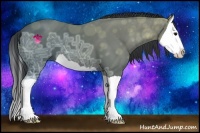 Horse Color:Black Ice Splash 