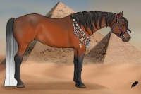 Horse Color:Brown Sabino 