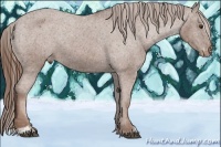 Horse Color:Chestnut Sabino Varnish 