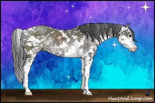 Horse Color:Grullo Sabino